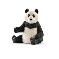 Giant Panda Female