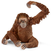 Orangutan (Female) image