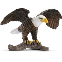 Bald Eagle image