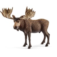Moose Bull image
