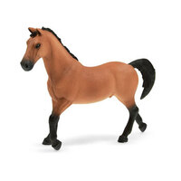 Trakehner Stallion - Exclusive