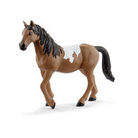 Pinto Mare Exclusive