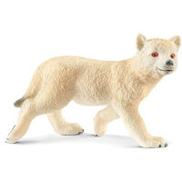 Arctic Wolf Cub