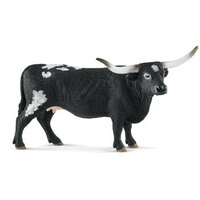 Texas Longhorn Cow