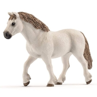 Welsh Pony Mare