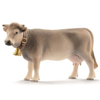 Braunvieh Cow image