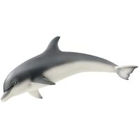 Dolphin image