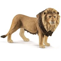 Lion image