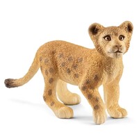 Lion Cub