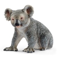 Koala image