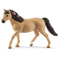 Connemara Pony Mare