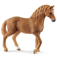 Quarter Horse Mare