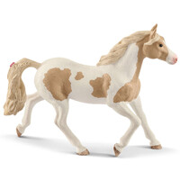 Paint Horse Mare image