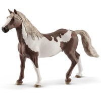 Paint Horse Gelding