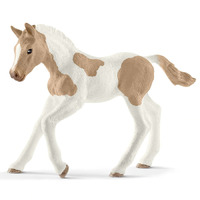 Paint Horse Foal