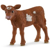 Texas Longhorn Calf image