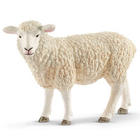 Sheep image