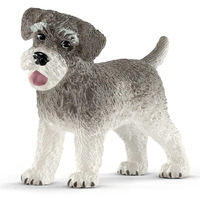 Miniature Schnauzer image