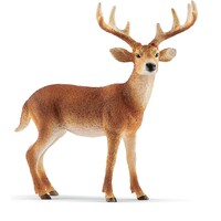 White Tailed Buck image