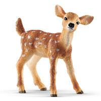 White Tailed Fawn image