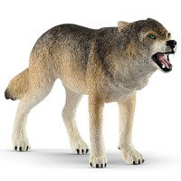 Wolf image
