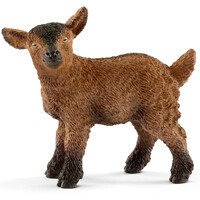 Goat Kid