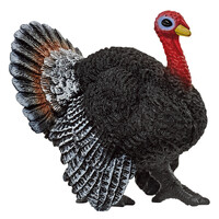 Turkey image
