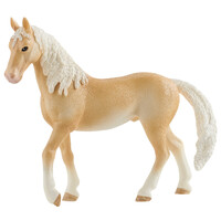 Achal Tekkiner Stallion