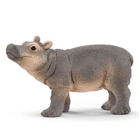 Baby Hippopotamus