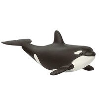 Baby Orca image