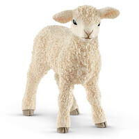 Lamb image