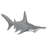 Hammerhead Shark