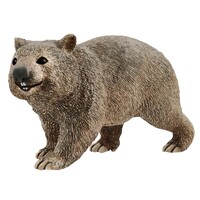 Wombat image