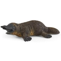 Platypus image