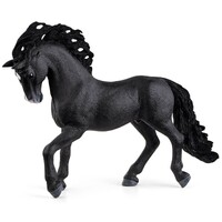 Pura Raza Española Stallion