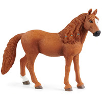 German Riding Pony Mare