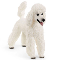 Poodle