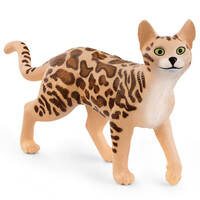 Bengal Cat image