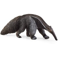 Anteater image