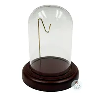 125mm Walnut Pocket Watch Glass Dome Display