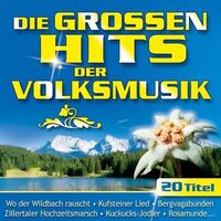 CD - Die Grossen Hits der Volsmusik