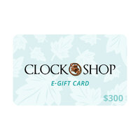 $300 Gift Voucher image
