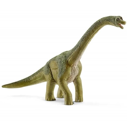 Brachiosaurus Dinosaur image