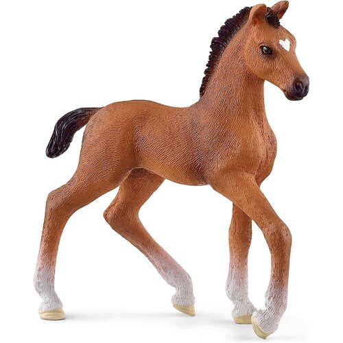Oldenburger Foal image