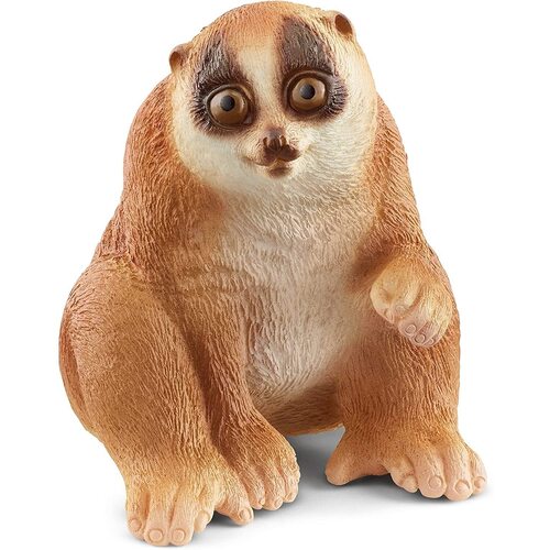 Slow Loris image