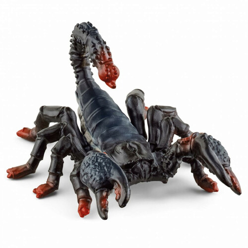 Emperor Scorpion image