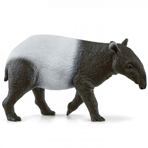 Tapir image