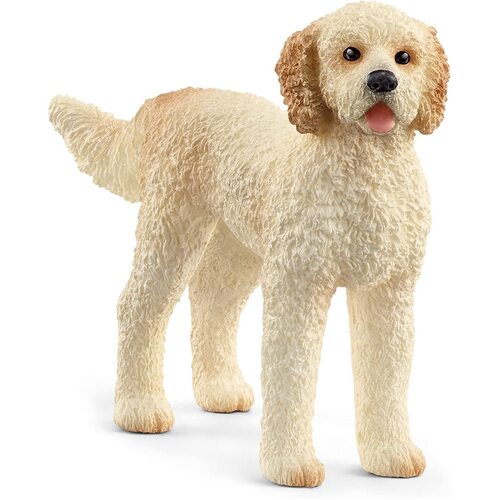 Goldendoodle image