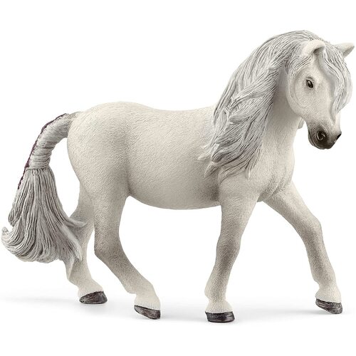 Iceland Pony Mare image