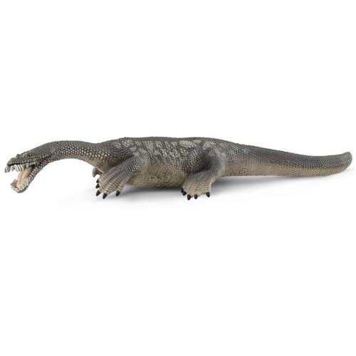 Nothosaurus Dinosaur image